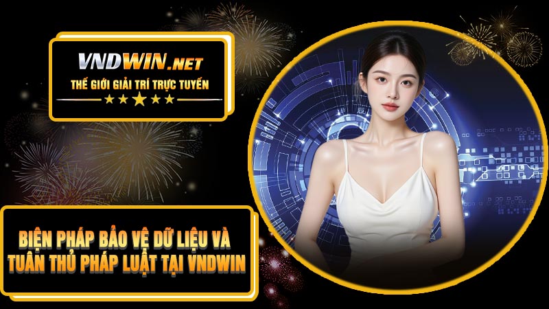Biện Pháp Bảo Vệ Dữ Liệu Và Tuân Thủ Pháp Luật Tại VNDWIN