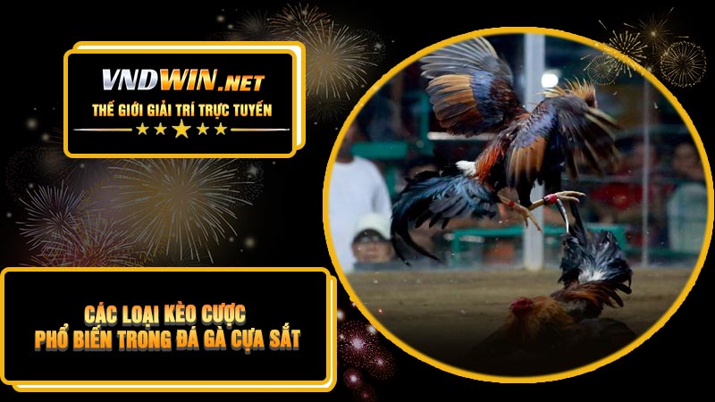 Các Loại Kèo Cược Phổ Biến Trong Đá Gà Cựa Sắt
