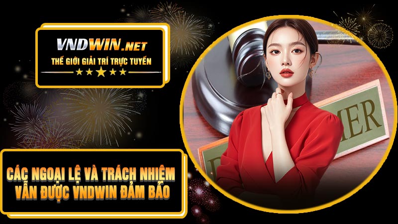 Các Ngoại Lệ Và Trách Nhiệm Vẫn Được VNDWIN Đảm Bảo