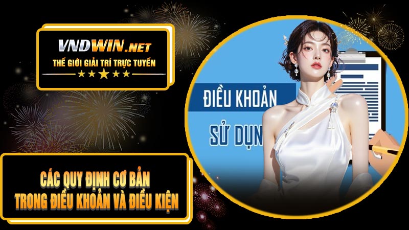 Các Quy Định Cơ Bản Trong Điều Khoản Và Điều Kiện