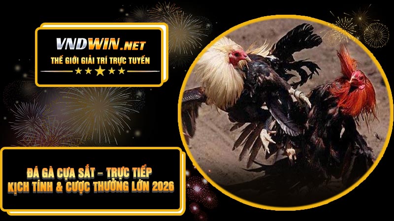 Đá Gà Cựa Sắt – Trực Tiếp Kịch Tính & Cược Thưởng Lớn 2026