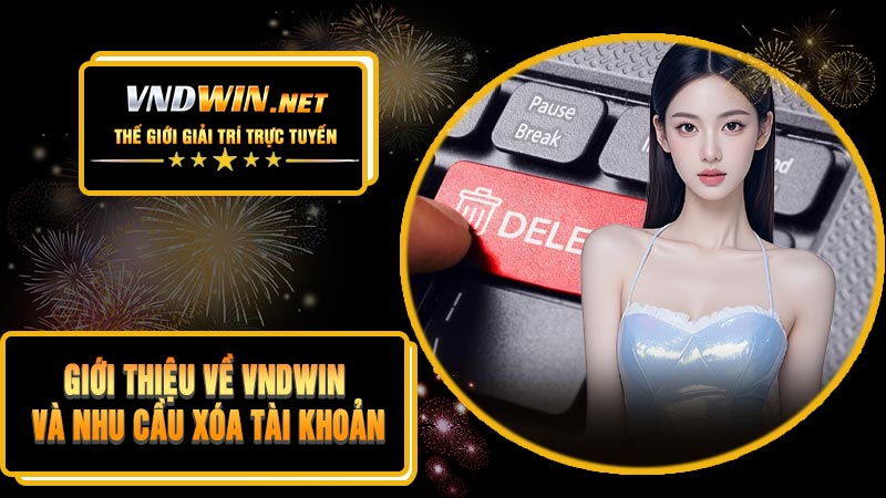 Giới Thiệu Về VNDWIN Và Nhu Cầu Xóa Tài Khoản