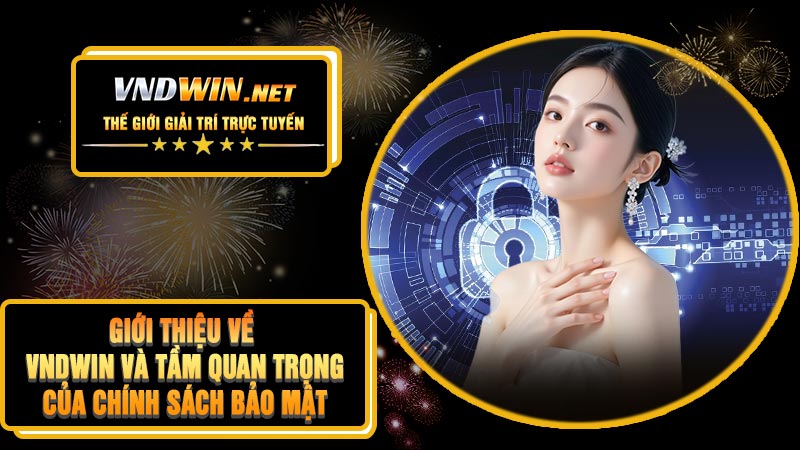 Giới Thiệu Về VNDWIN Và Tầm Quan Trọng Của Chính Sách Bảo Mật