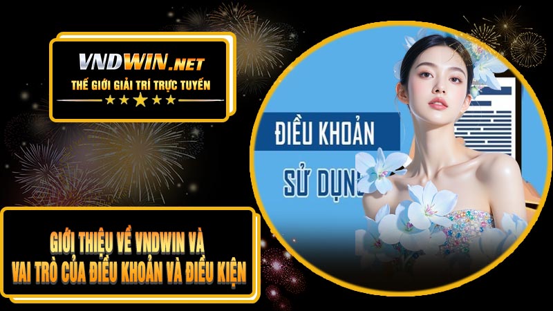 Giới Thiệu Về VNDWIN Và Vai Trò Của Điều Khoản Và Điều Kiện