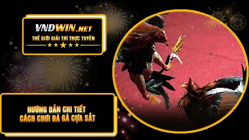 Hướng Dẫn Chi Tiết Cách Chơi Đá Gà Cựa Sắt