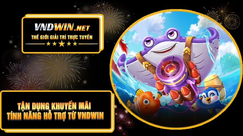 Tận Dụng Khuyến Mãi & Tính Năng Hỗ Trợ Từ VNDWIN