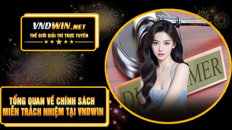 Tổng Quan Về Chính Sách Miễn Trách Nhiệm Tại VNDWIN