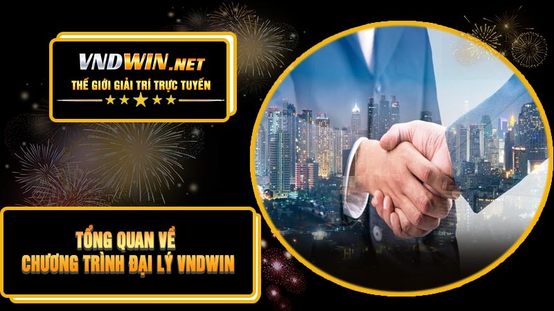 Tổng Quan Về Chương Trình Đại Lý VNDWIN