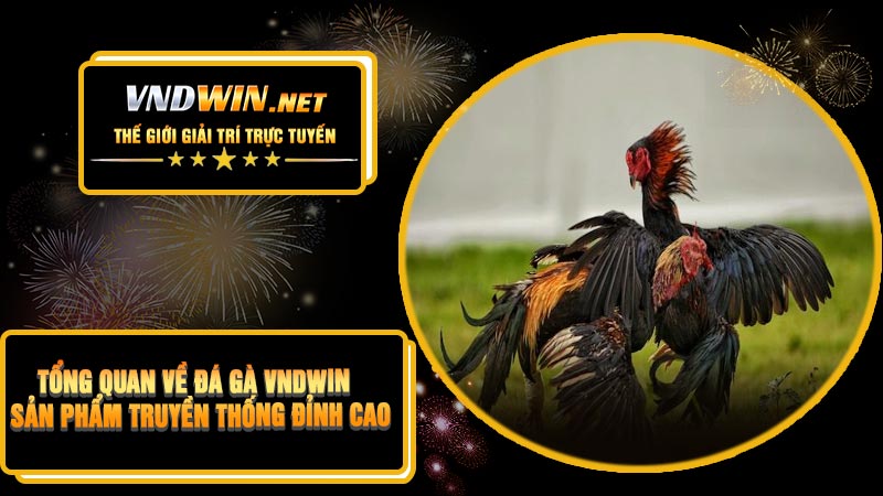 Tổng Quan Về Đá Gà VNDWIN – Sản Phẩm Truyền Thống Đỉnh Cao