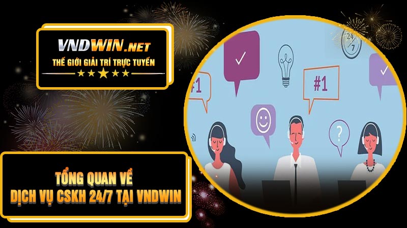 Tổng Quan Về Dịch Vụ CSKH 24/7 Tại VNDWIN