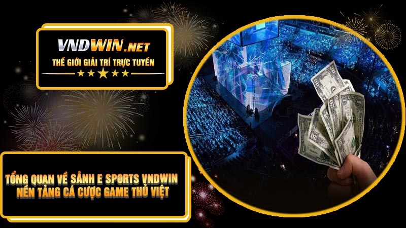 Tổng Quan Về Sảnh E Sports VNDWIN – Nền Tảng Cá Cược Game Thủ Việt