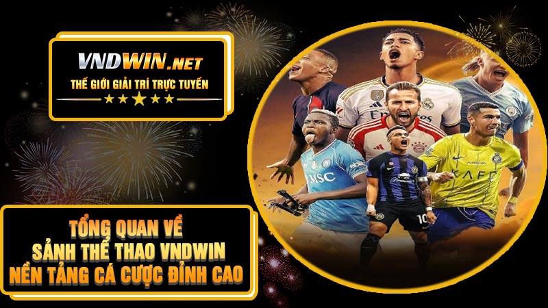 Tổng Quan Về Sảnh Thể Thao VNDWIN – Nền Tảng Cá Cược Đỉnh Cao