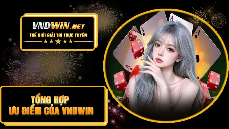 Tổng hợp ưu điểm của VNDWIN